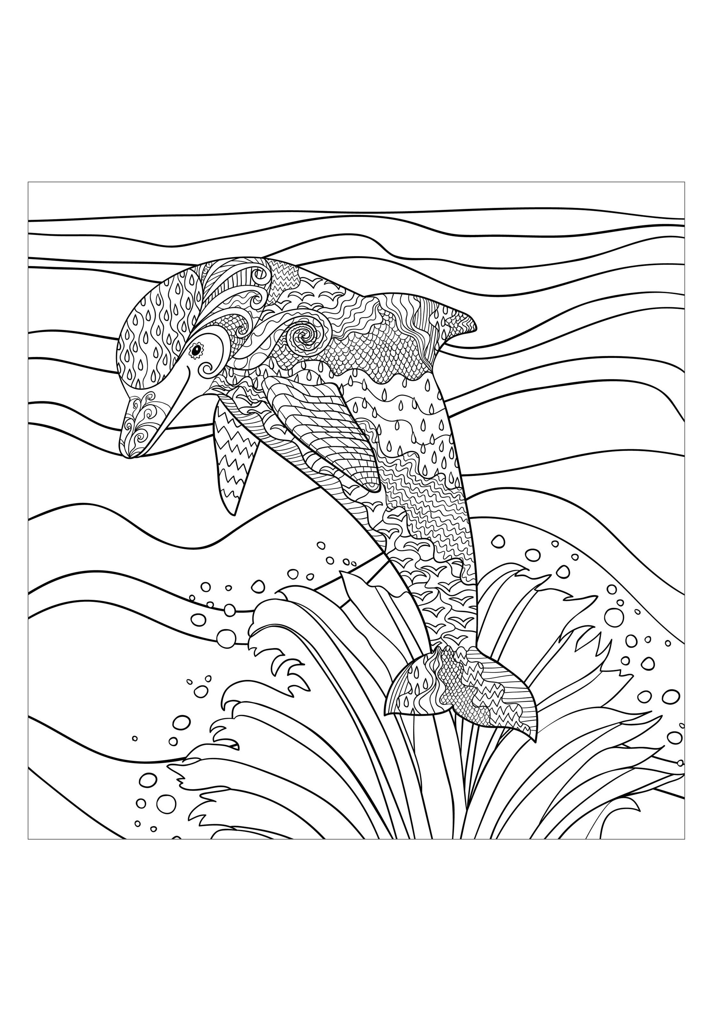 Mer dauphin - Mondes aquatiques - Coloriages difficiles ...