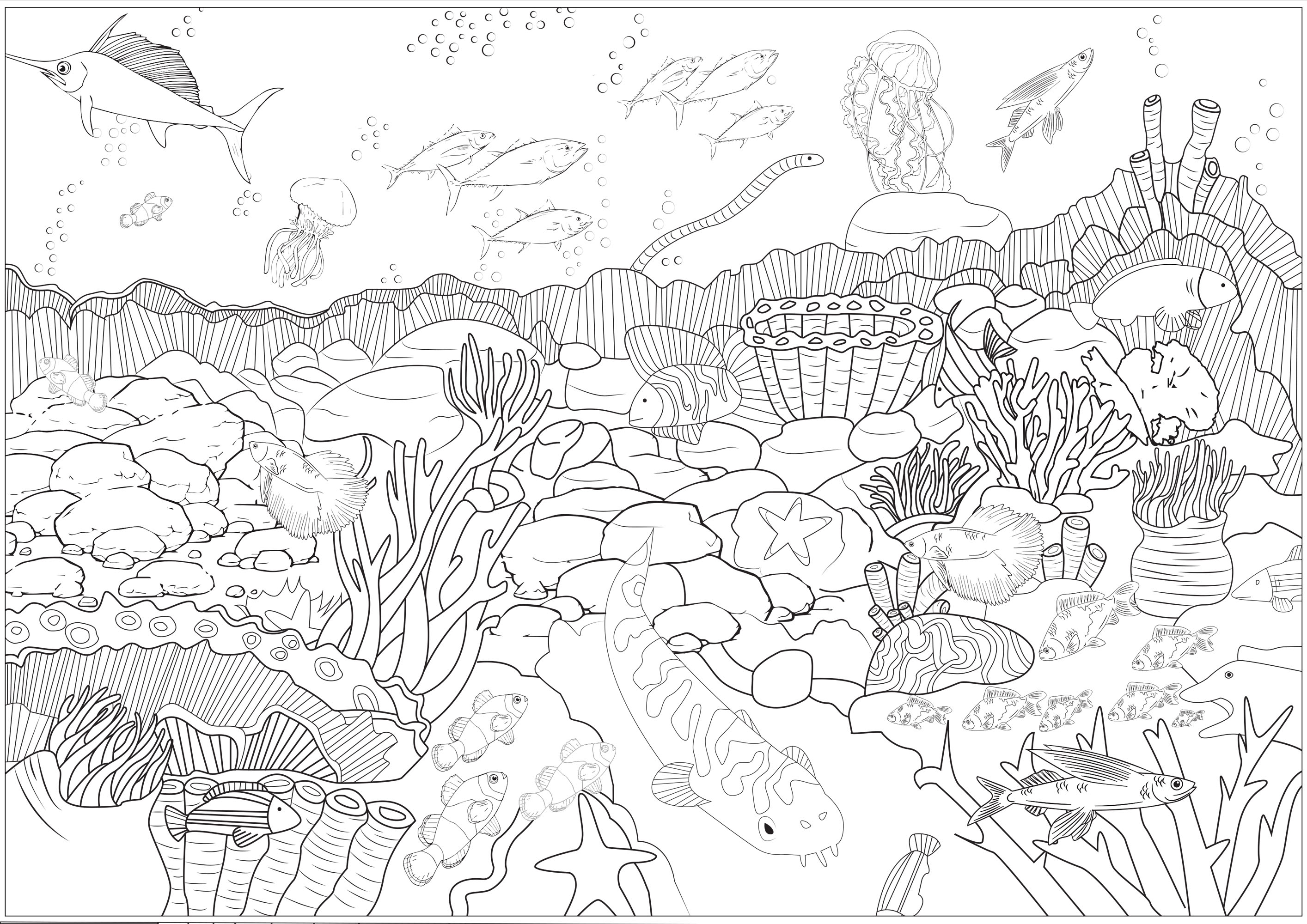 Fonds marins (Coloriage de Mondes aquatiques) Fonds marins (Coloriage de Mondes aquatiques à imprimer pour adultes)