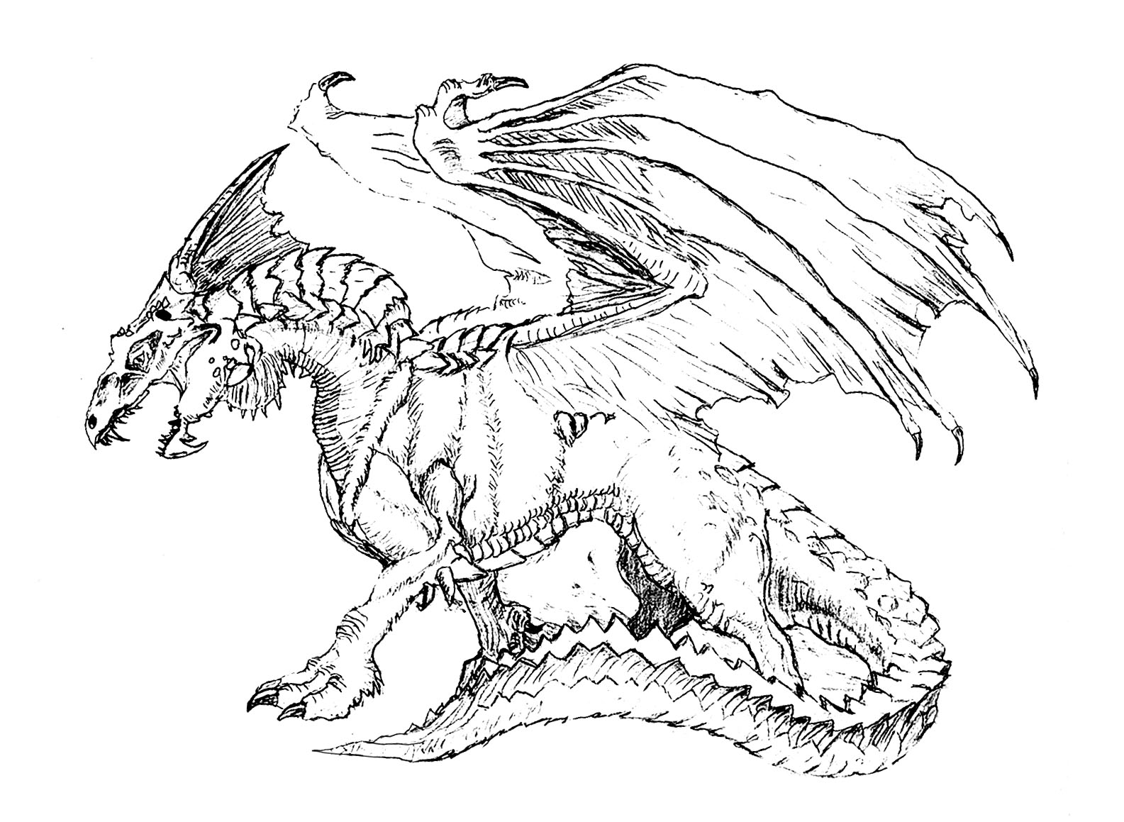 coloriage effrayant dragon free to print