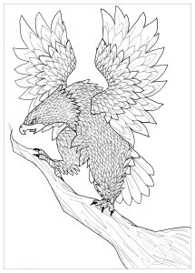 Coloriage de à imprimer pour adultes : Aigle impressionnant prêt à s'envoler