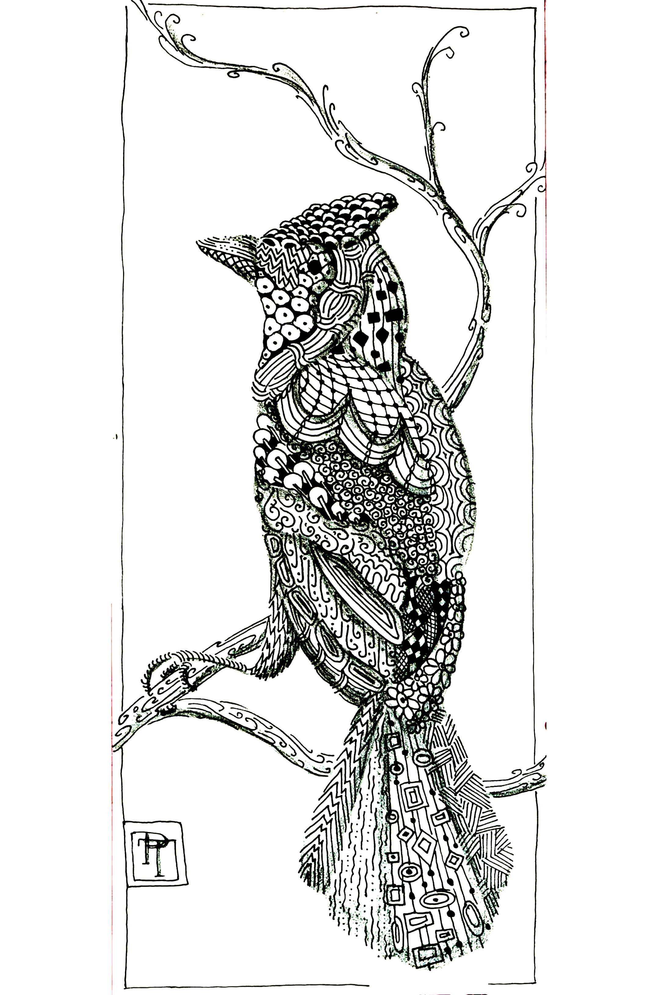 Animaux bel oiseau  Oiseaux  Coloriages difficiles pour adultes