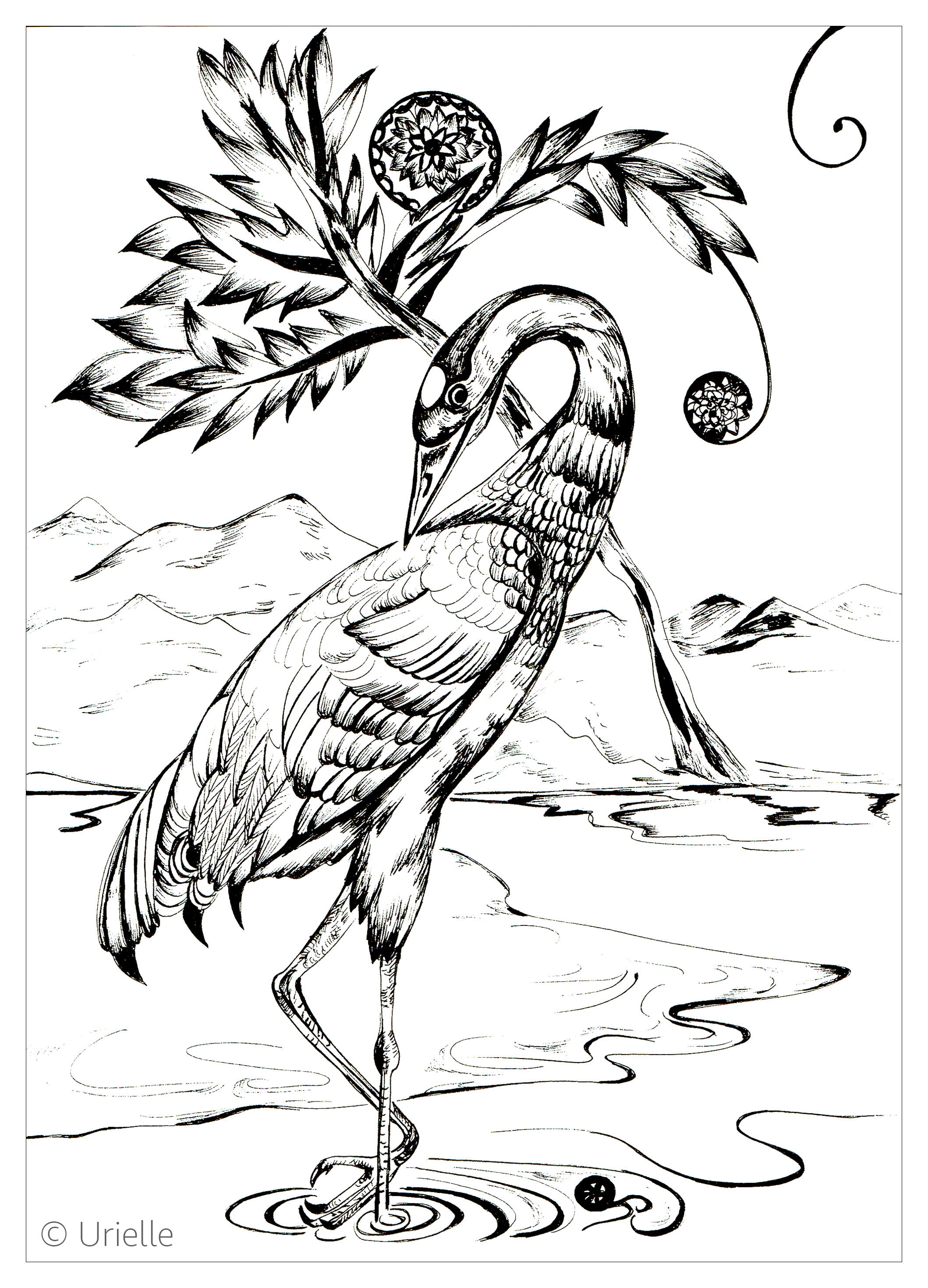 image=oiseaux coloriage adulte heron 1