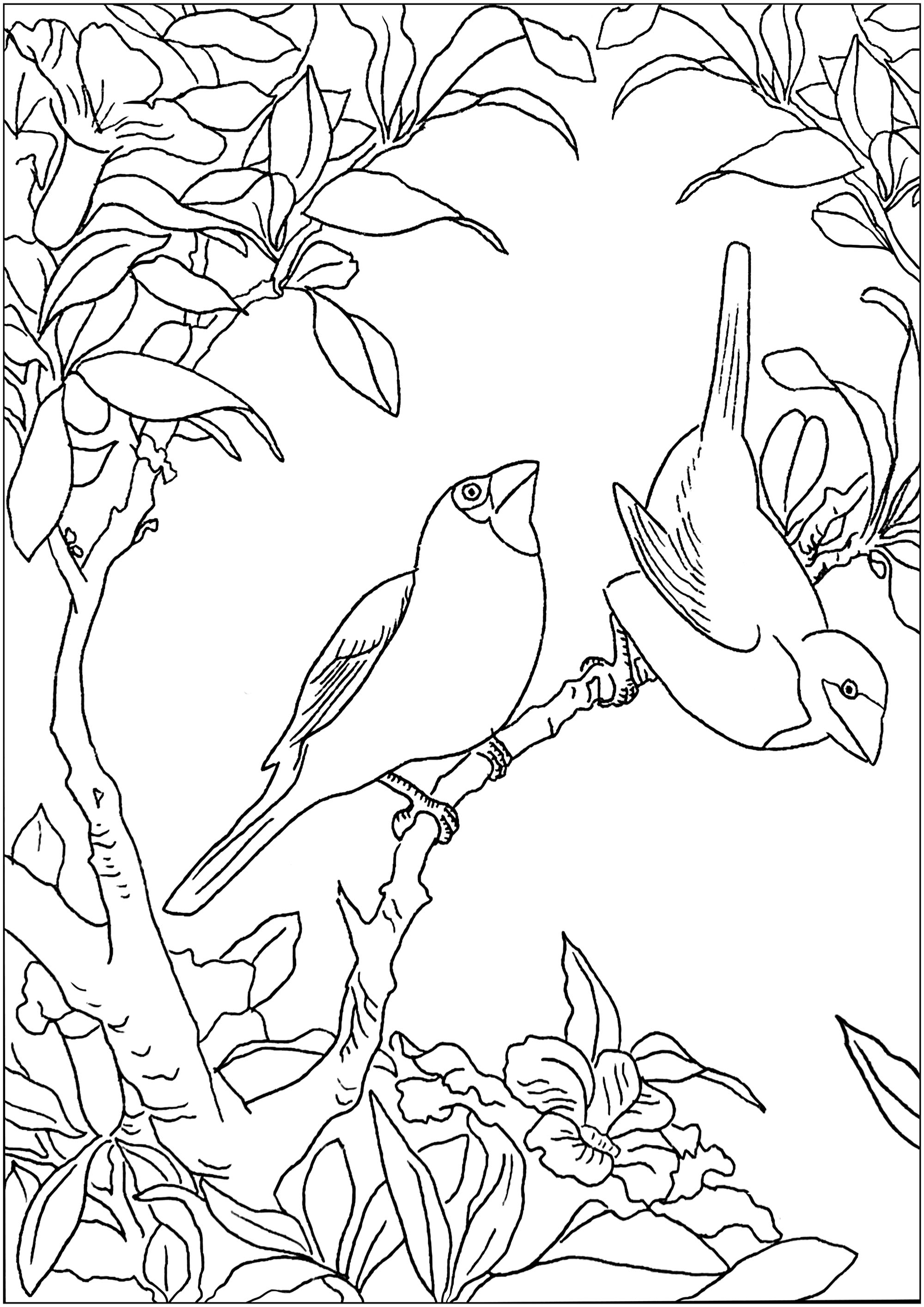 Deux petits oiseaux sur une branche, Artiste : Art'Isabelle