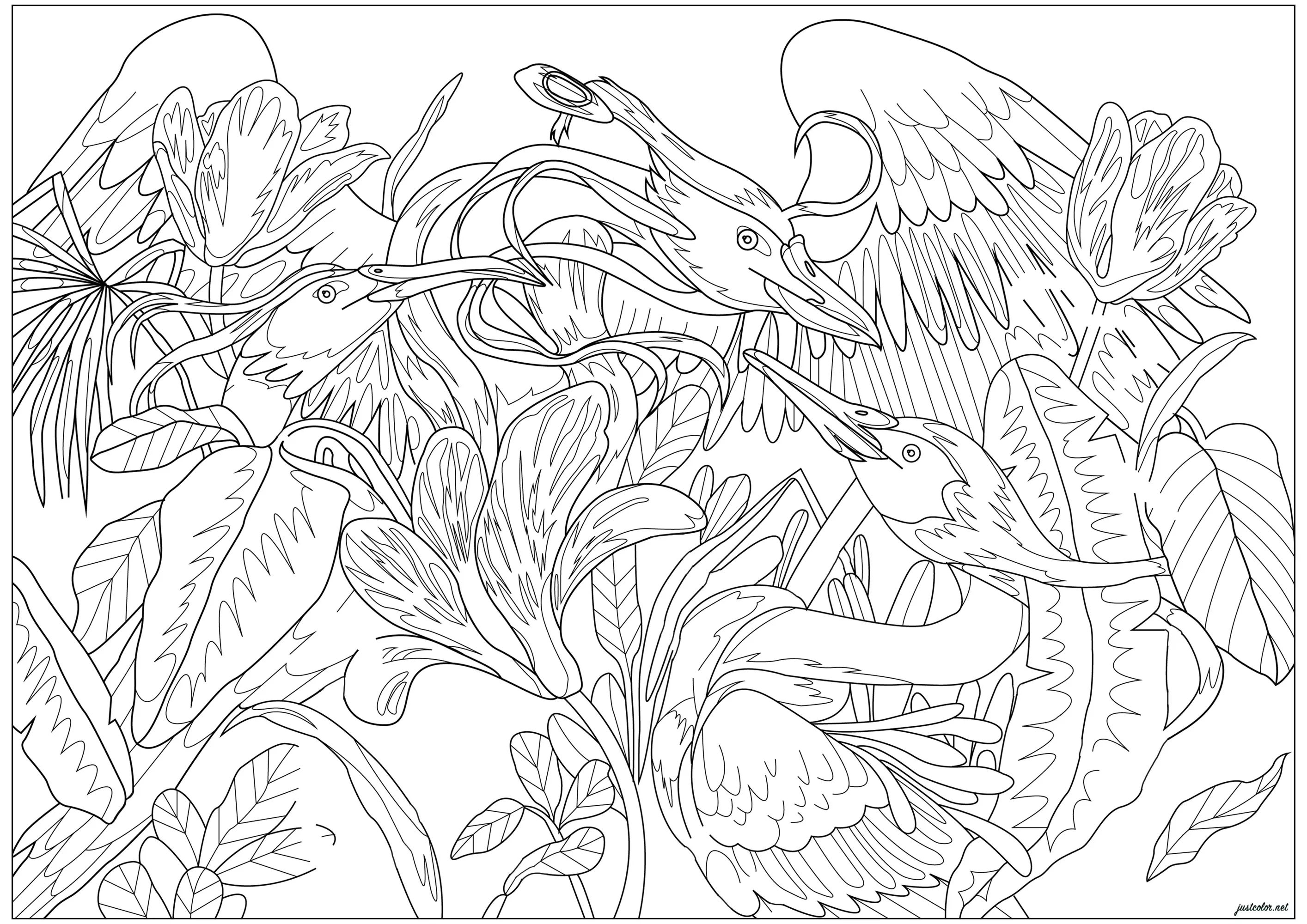 Oiseaux exotiques en pleine nature (Coloriage à imprimer pour adultes)