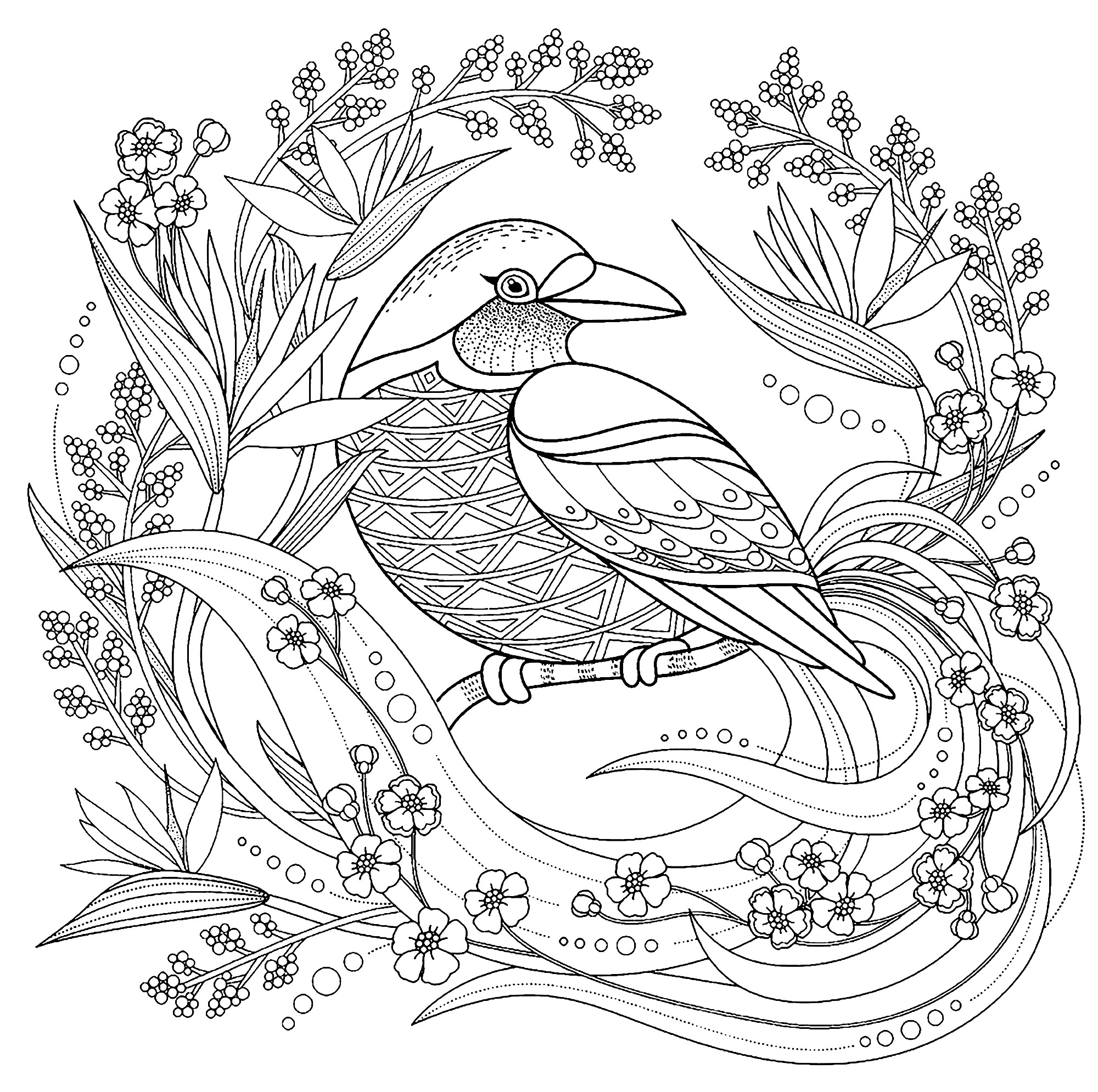 image=oiseaux coloriage oiseau avec elements floraux 1