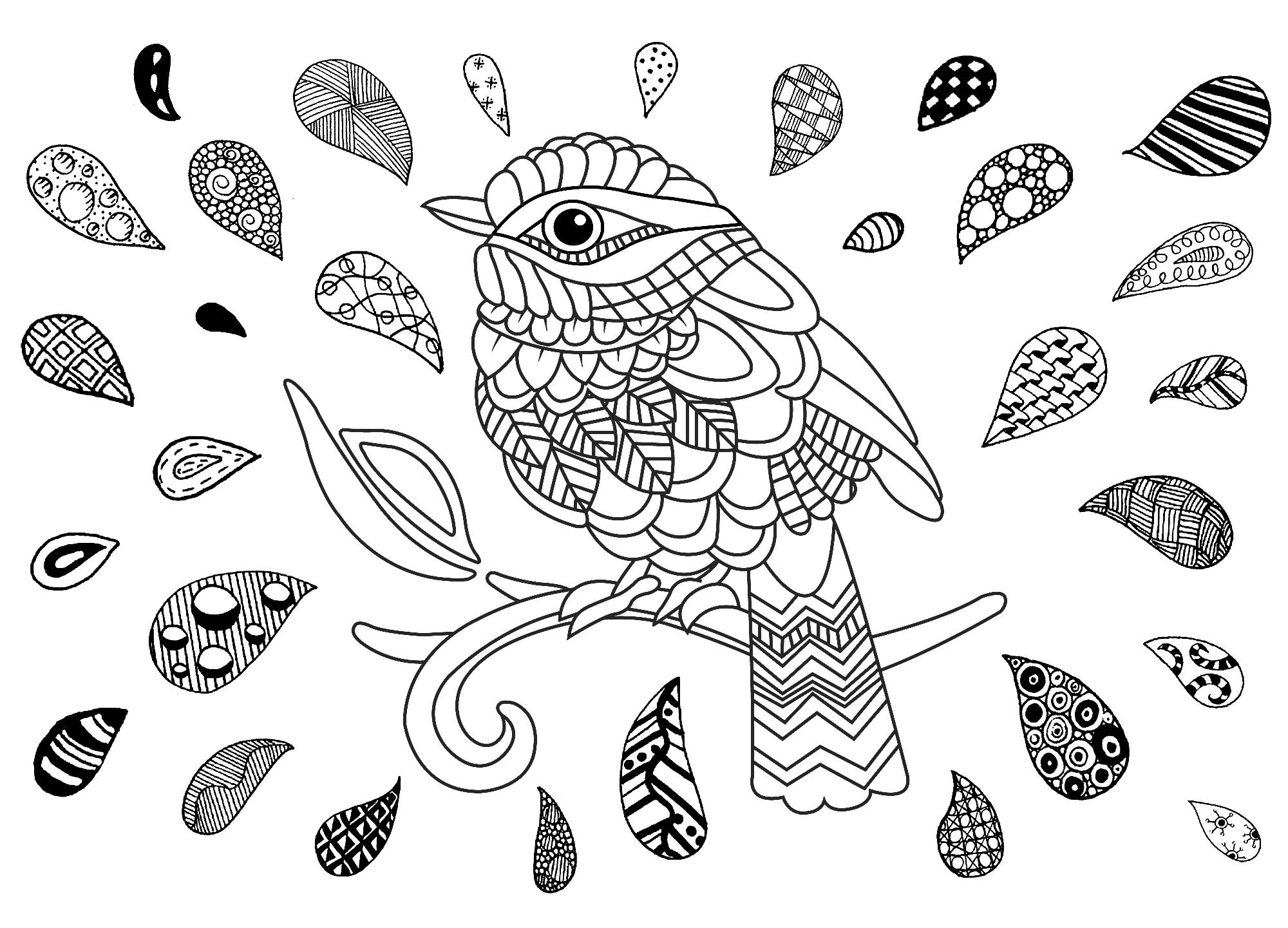 Oiseau & Gouttes Zentangle, Artiste : Lucie