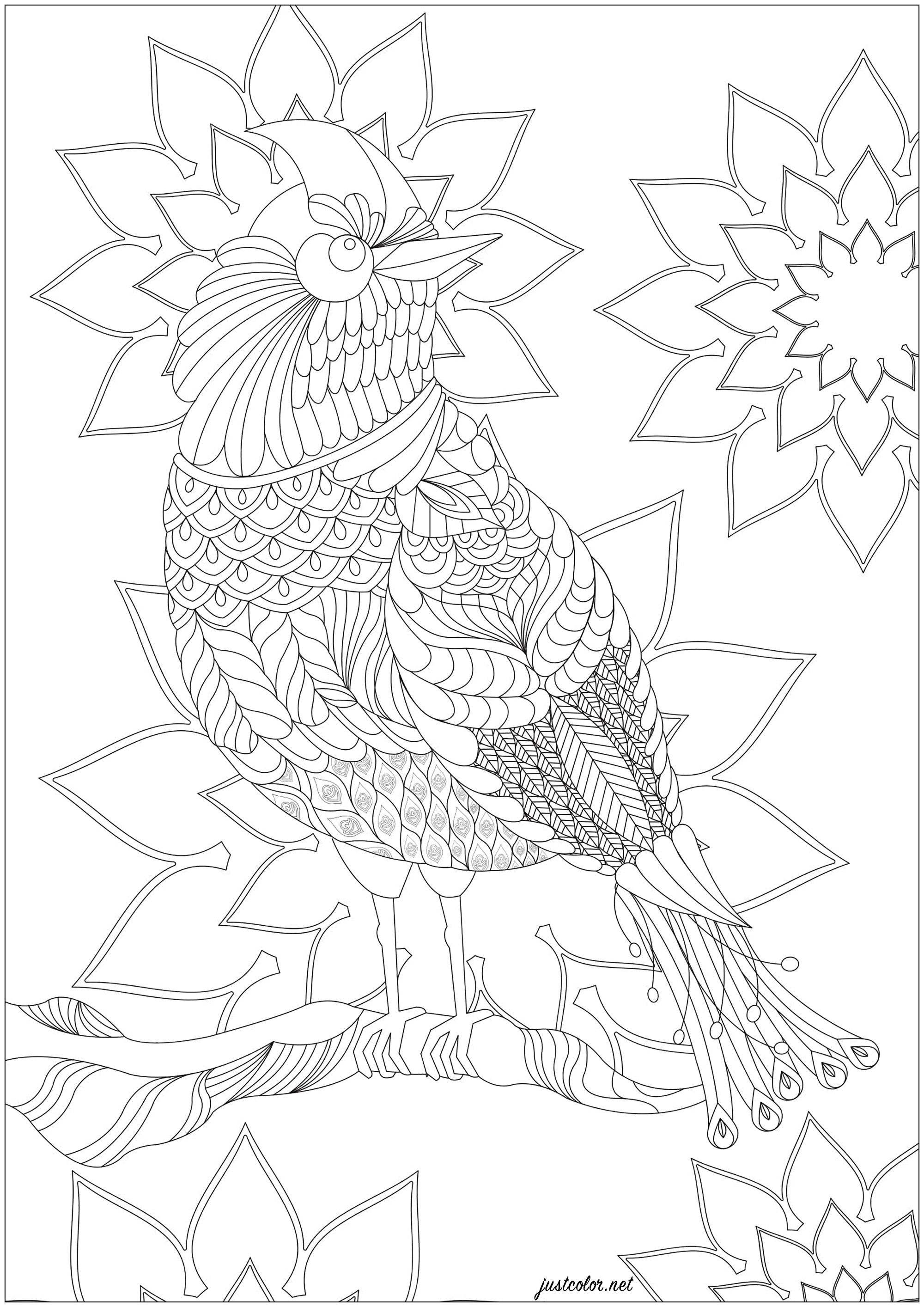 Oiseau imaginaire, entre le faisan doré et le paradisier, avec nombreux motifs à colorier