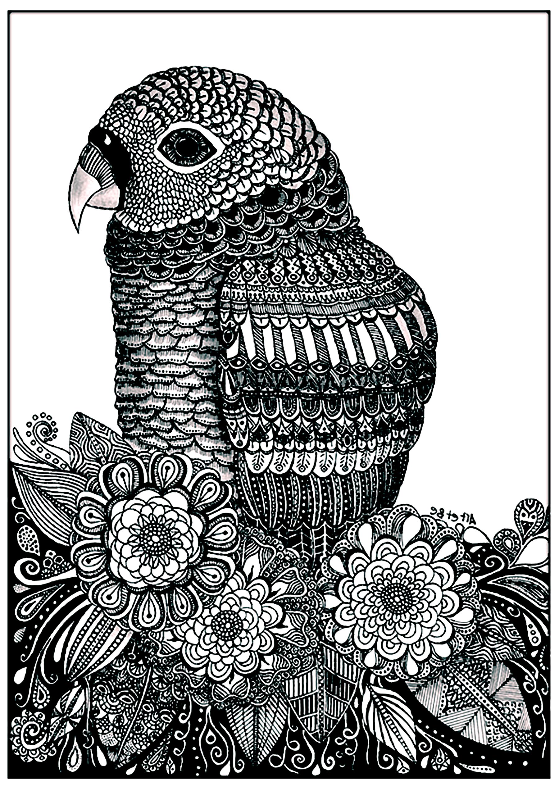 Perroquet Et Fleurs Oiseaux Coloriages Difficiles Pour