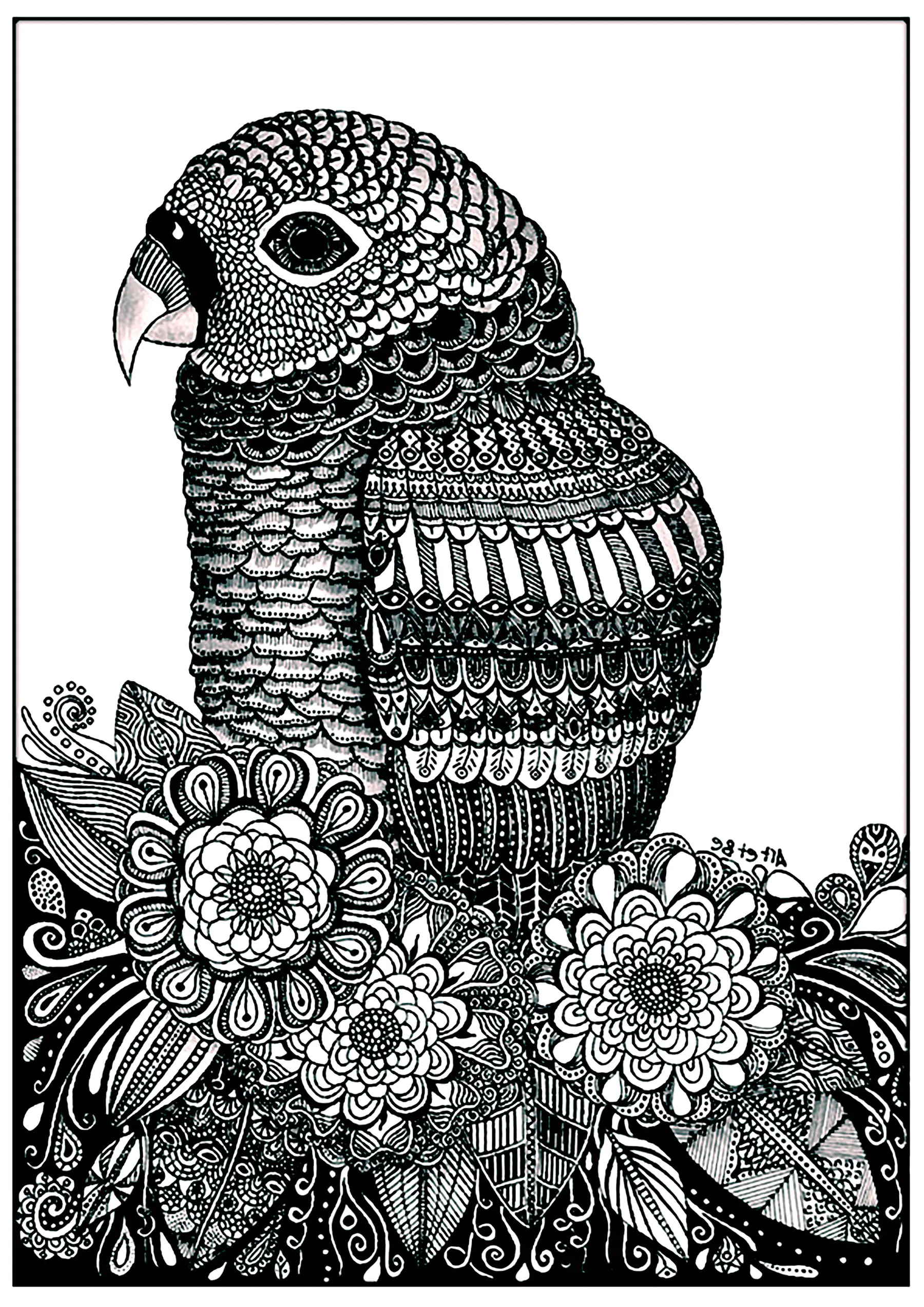 Perroquet et fleurs (Coloriage d'Oiseaux à imprimer pour adultes)