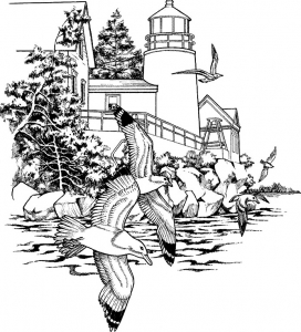Paysage marin : Jolies mouettes et phare (Coloriage d'Oiseaux)