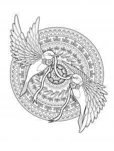 Deux jolies hirondelles (Coloriage d'Oiseaux)