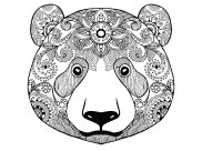 Coloriages Ours