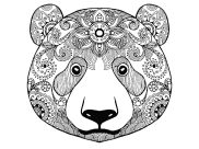 Coloriages d'Ours à imprimer pour adultes
