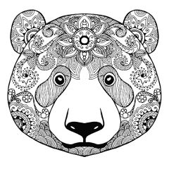 Coloriages d'Ours à imprimer pour adultes