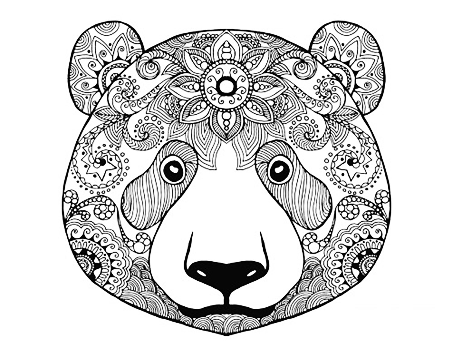 image=ours coloriage adulte ours 2 1