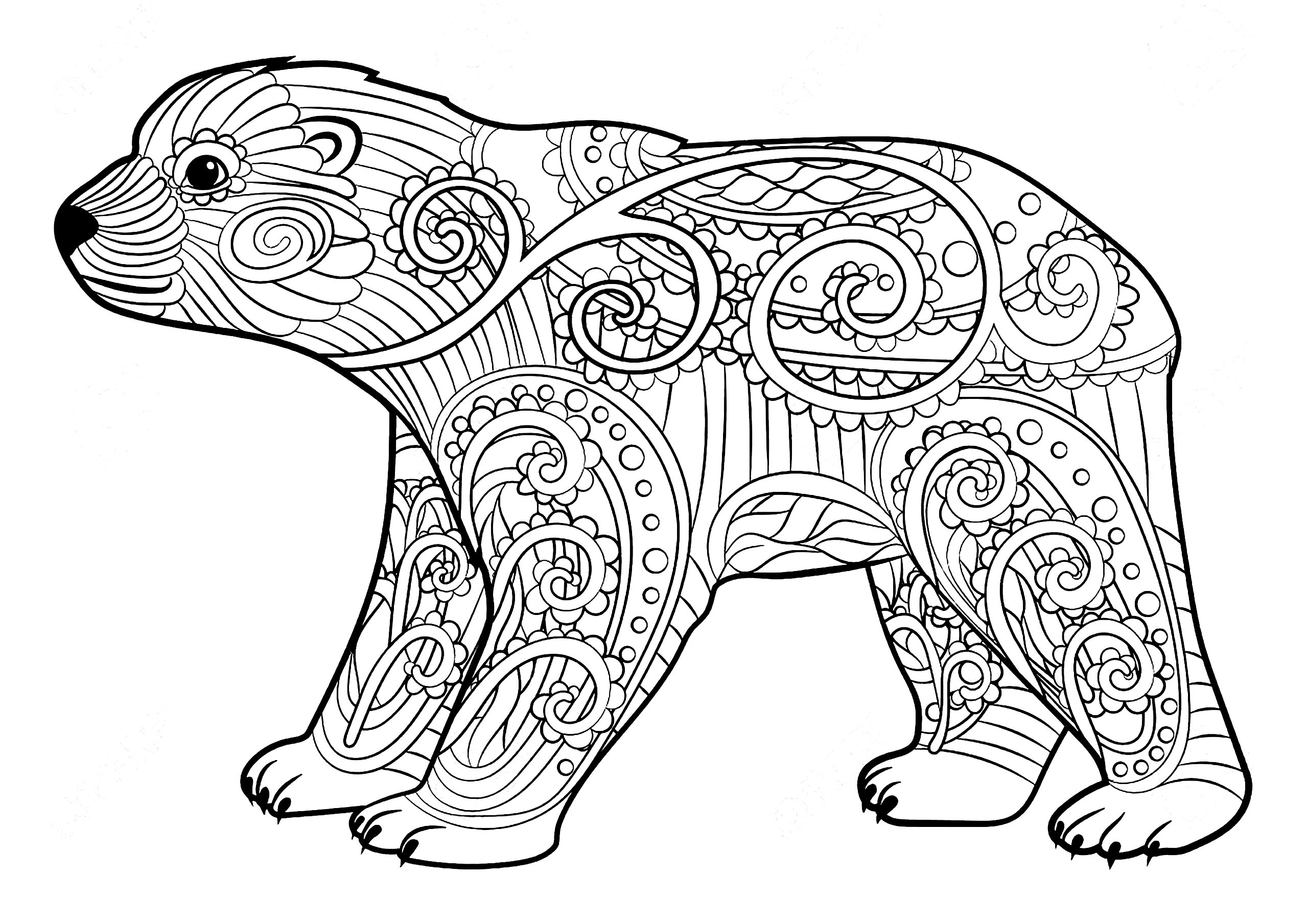 Simple coloriage d'Ours, avec jolis et élégants motifs, Artiste : Alina Safiullina #NOLINK