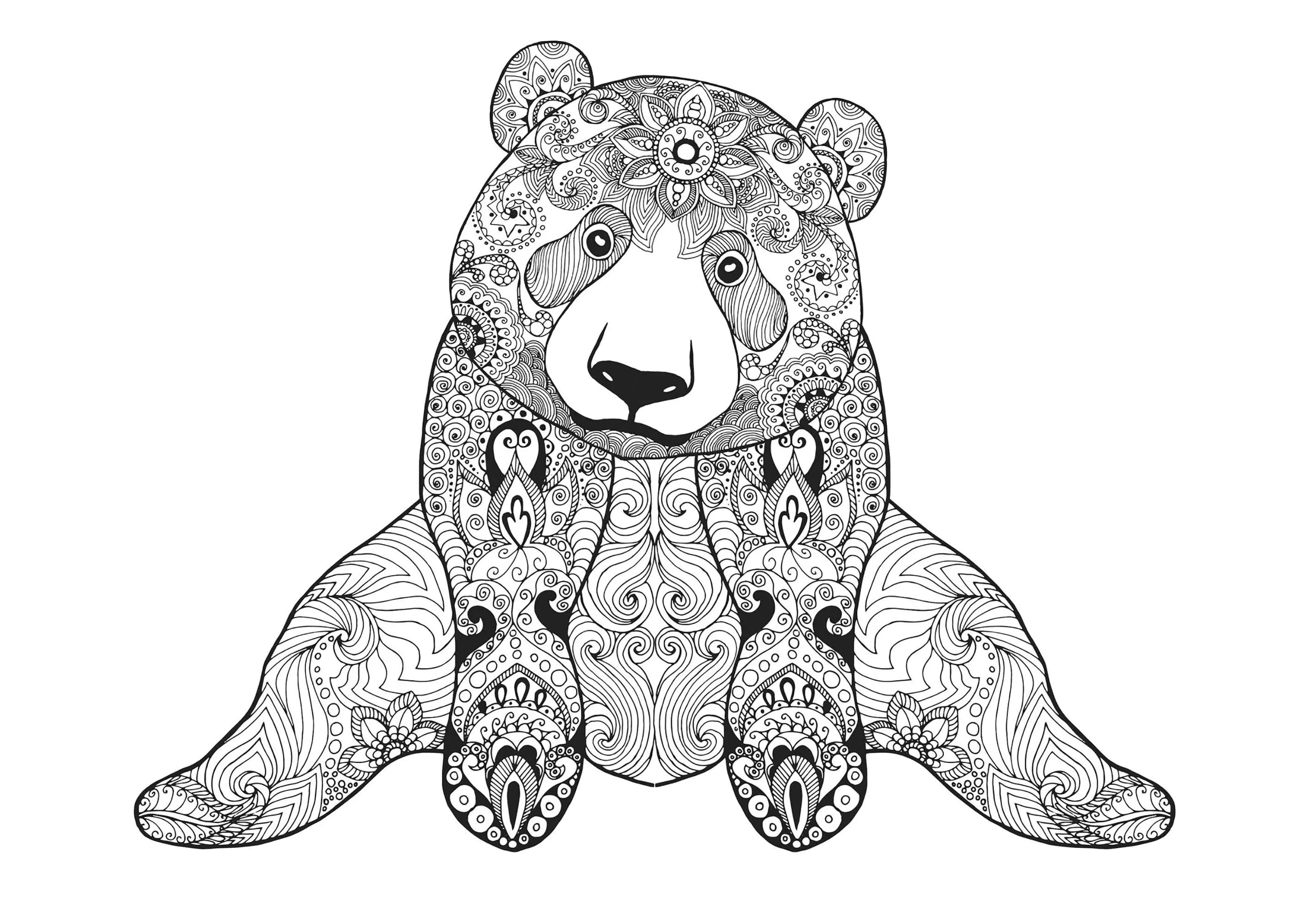 Ours assis (Coloriage à imprimer pour adultes)