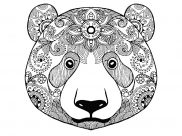 Coloriages Ours
