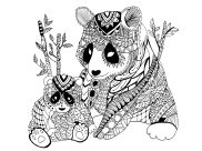 Coloriages Pandas