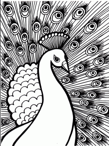 Coloriage de à imprimer pour adultes : Paon-magnifique