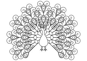 Coloriage de à imprimer pour adultes : Paon avec plumes comportant des coeurs