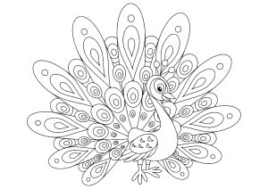 Coloriage de à imprimer pour adultes : Paon enfantin