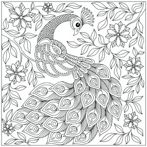 Coloriage de à imprimer pour adultes : Paon entier parmi les fleurs