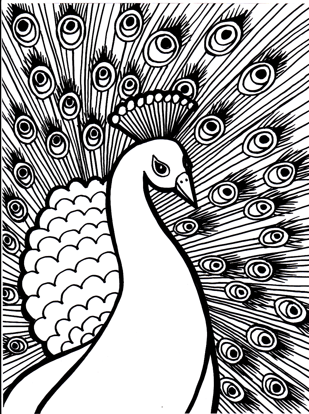 Paon magnifique (Coloriage à imprimer pour adultes)