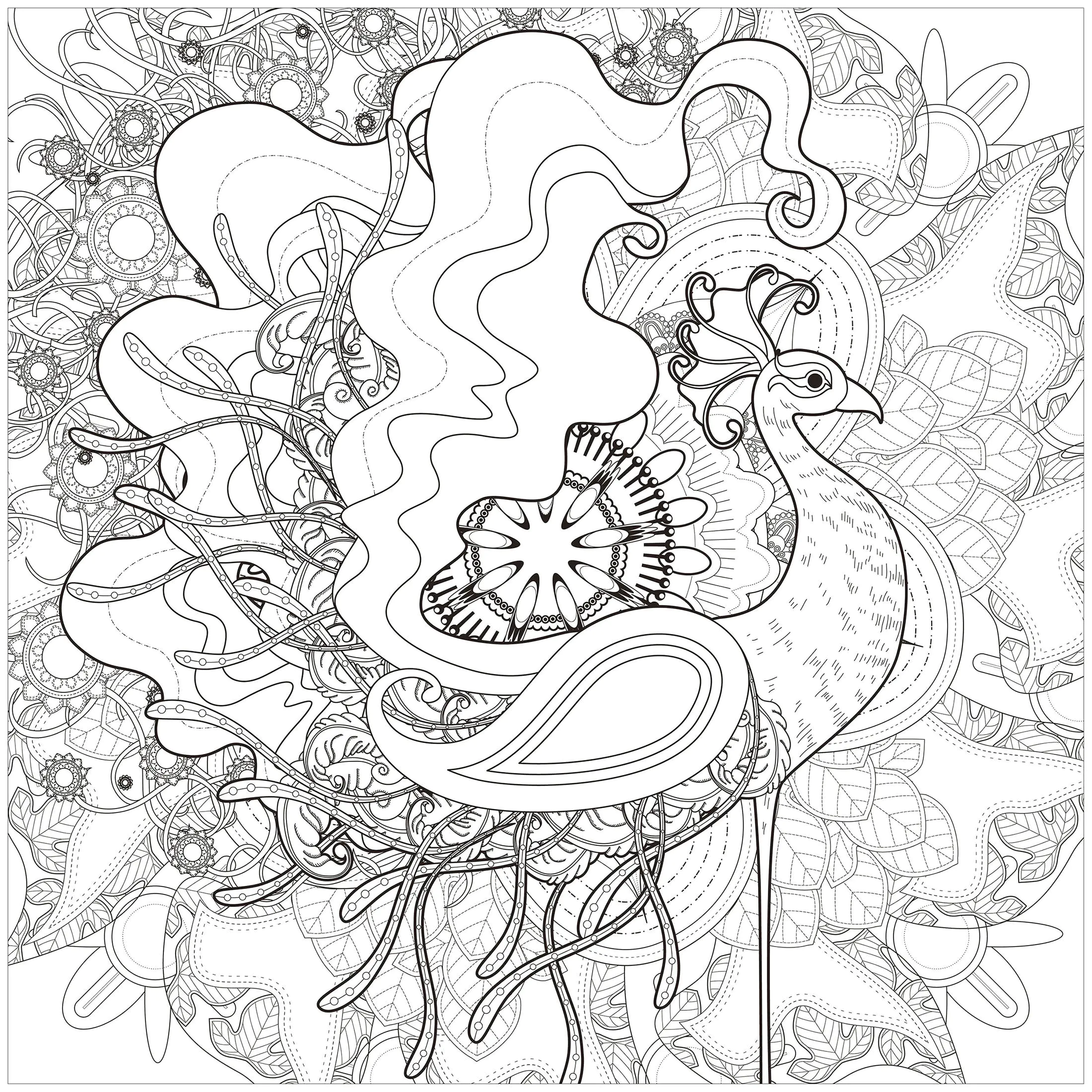 Majestueux paon (Coloriage à imprimer pour adultes)