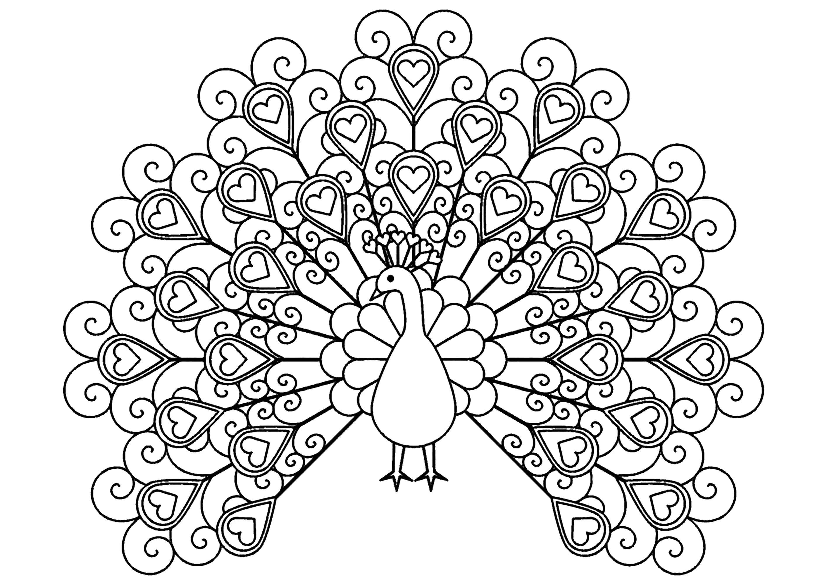 Paon avec plumes comportant des coeurs (Coloriage à imprimer pour adultes)