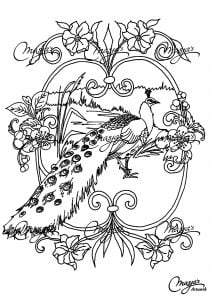 Coloriage adulte animaux paon