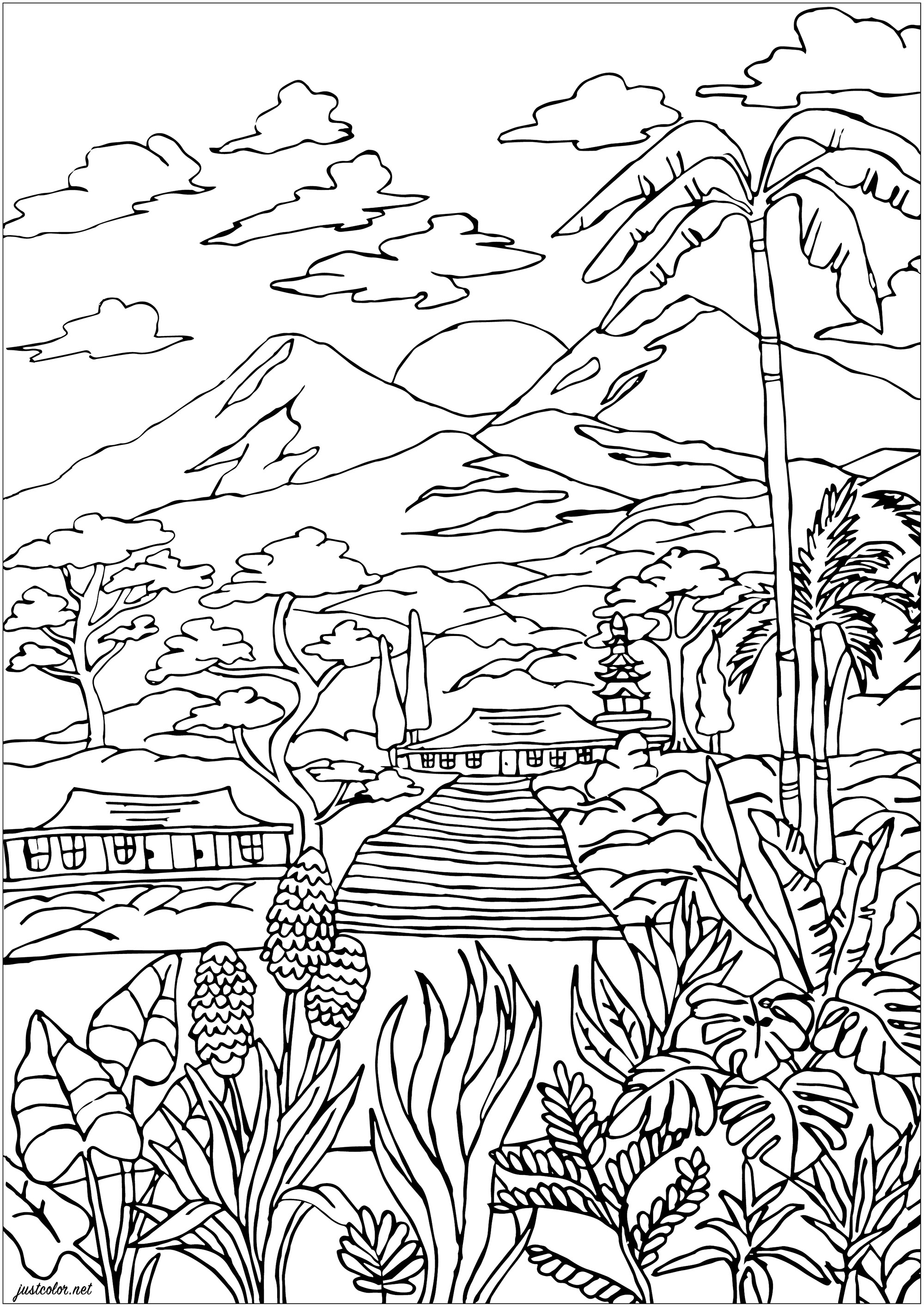Paysage de Martinique : Vue sur les volcans, des maisons créoles, une végétation luxuriante avec ses palmiers et de jolies plantes à colorier. L'île de la Martinique est une île, située dans les petites Antilles, ou Îles du Vent. Son point culminant est le volcan de la montagne Pelée (1 397 m ). Elle est française en 1635, Artiste : Morgan