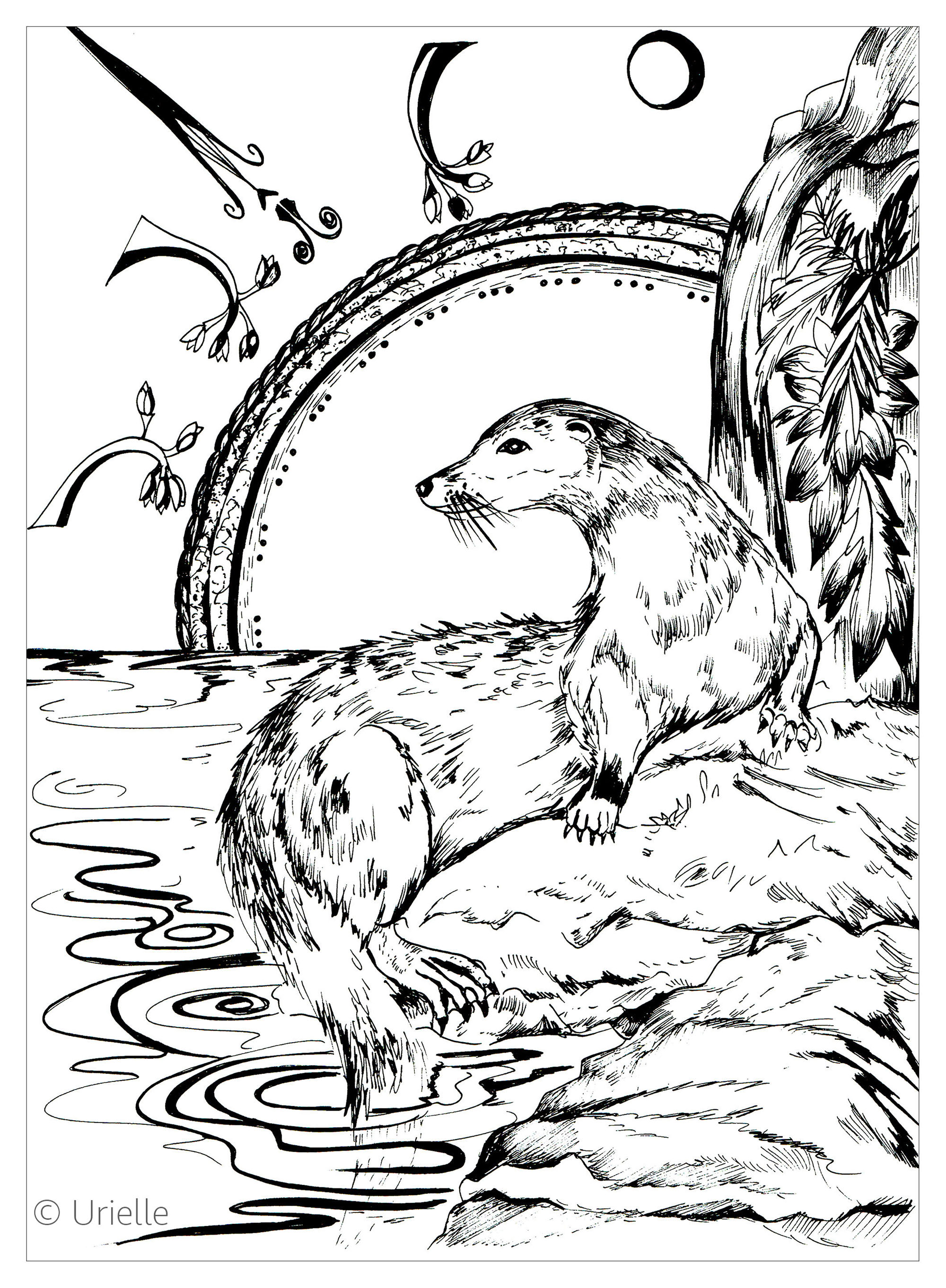 La loutre, Artiste : Urielle