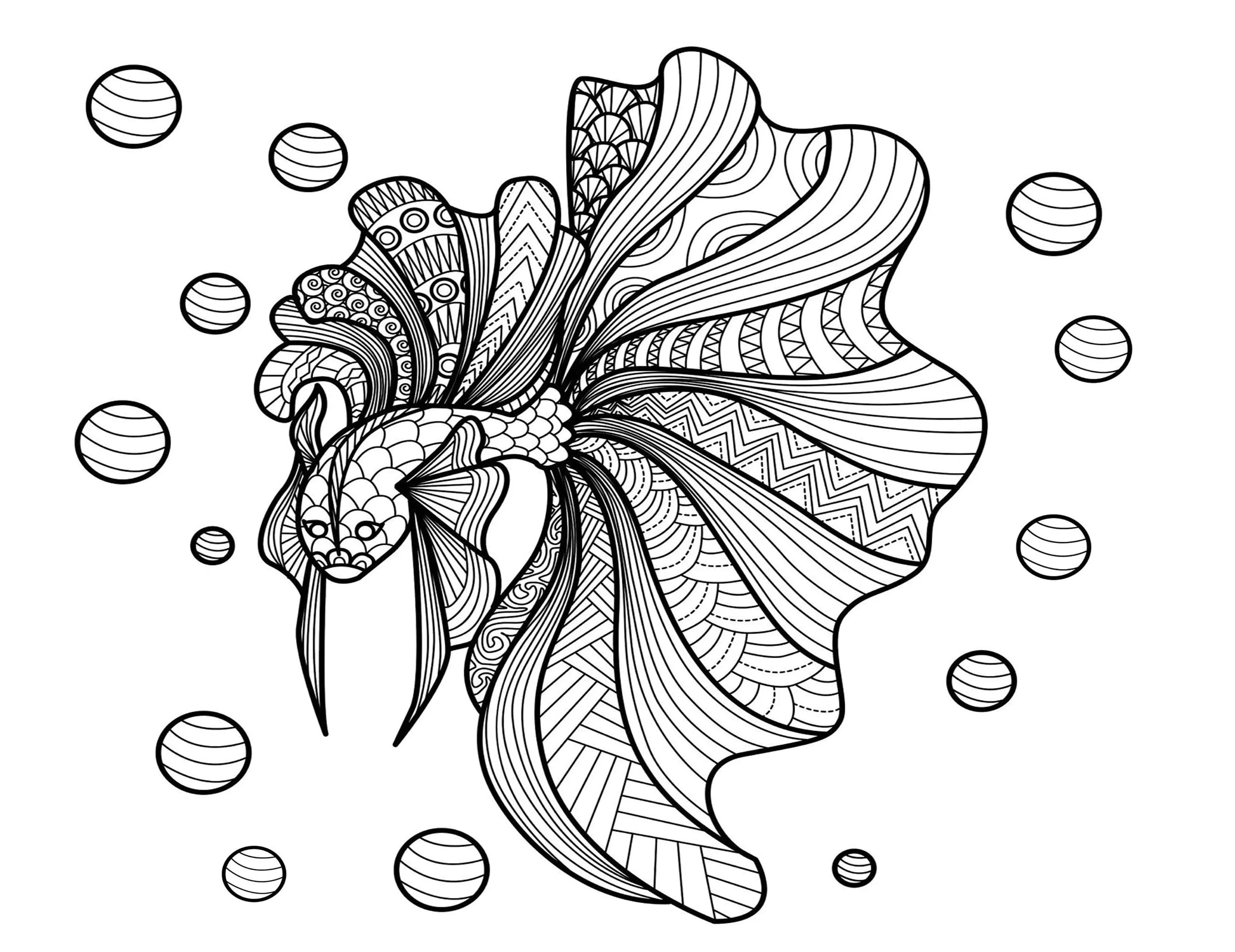 Poisson bimdeedee (Coloriage à imprimer pour adultes)