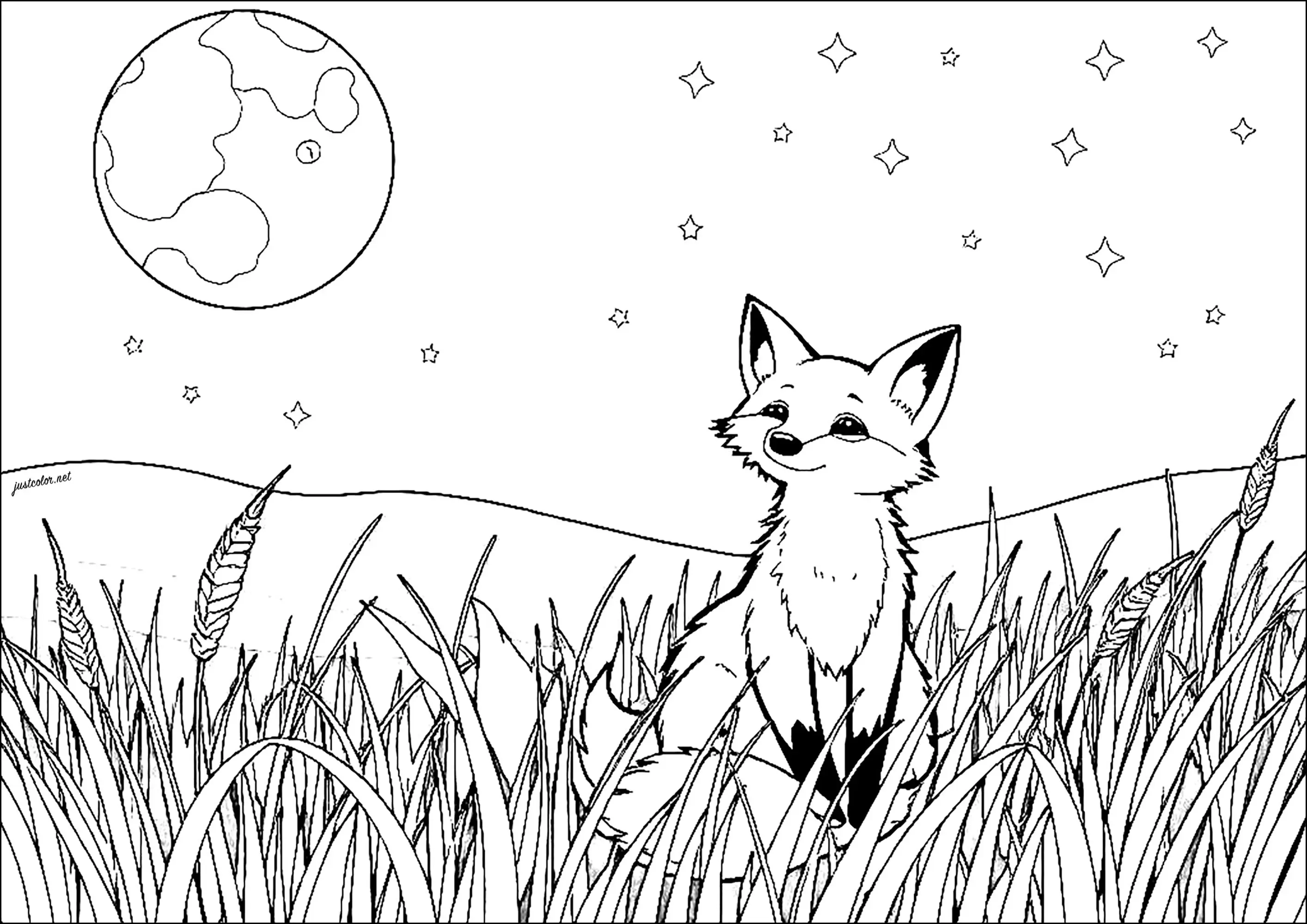 Renard regardant la lune (Coloriage à imprimer pour adultes)