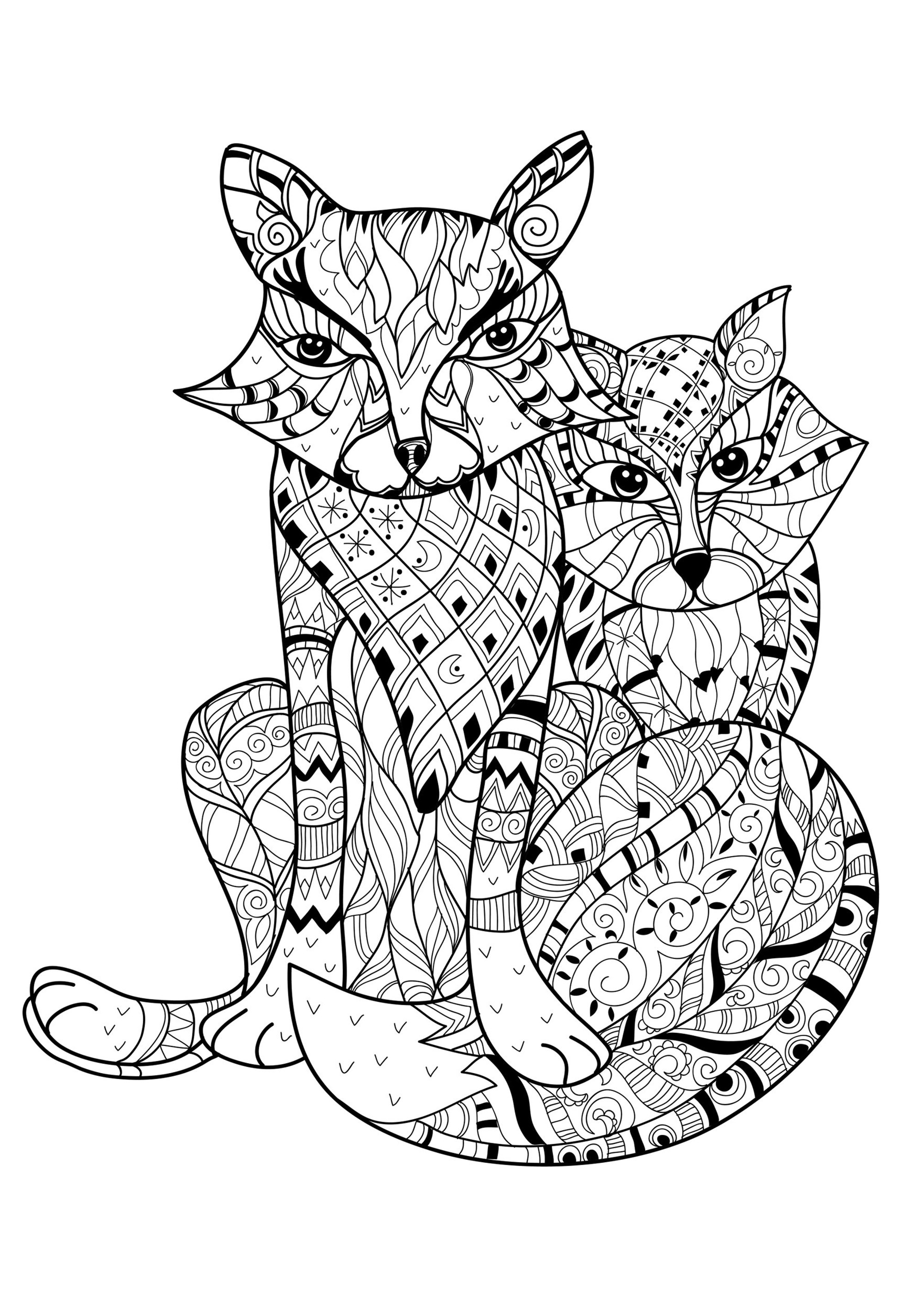 Deux jolis renards à colorier avec leurs motifs simples et harmonieux, Artiste : Yazzik   Source : 123rf