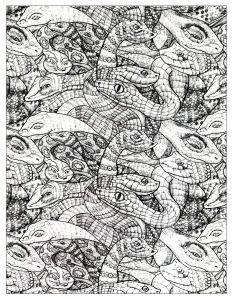 Coloriage de à imprimer pour adultes : Serpents-2