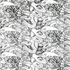 Coloriages de Serpents à imprimer pour adultes