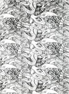 Coloriage de à imprimer pour adultes : Serpents-enchevetres-2