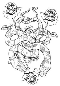 Coloriage serpents et roses