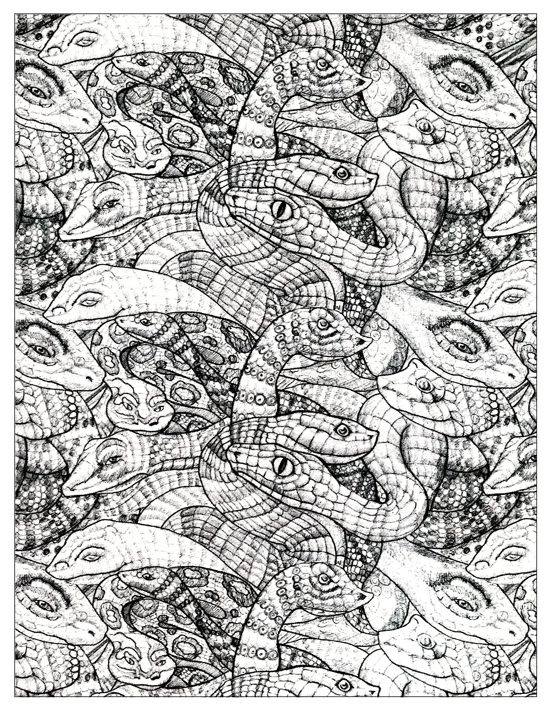 Serpents - 2 (Coloriage à imprimer pour adultes)