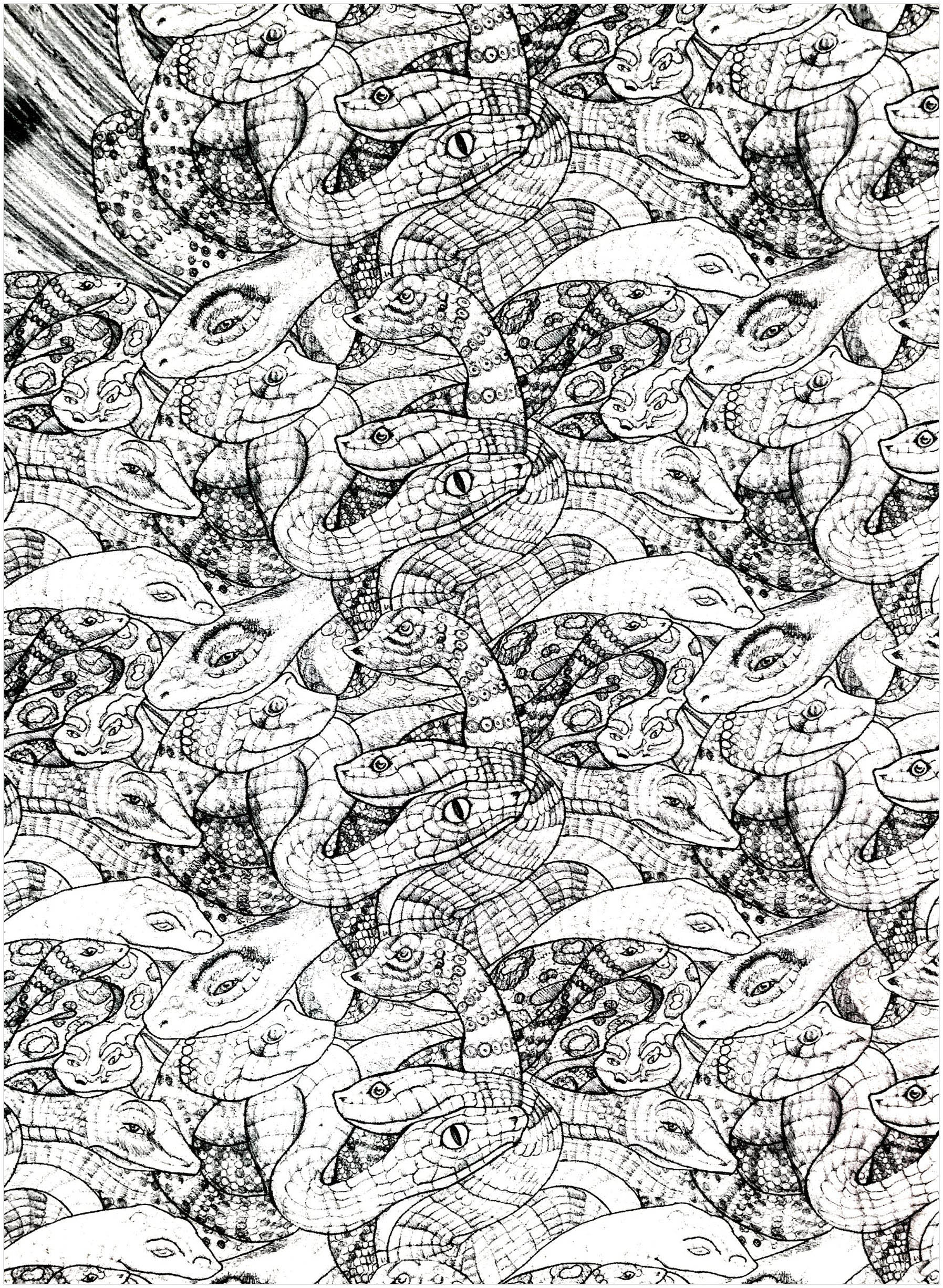 image=serpents coloriage adultes serpents enchevetres 1