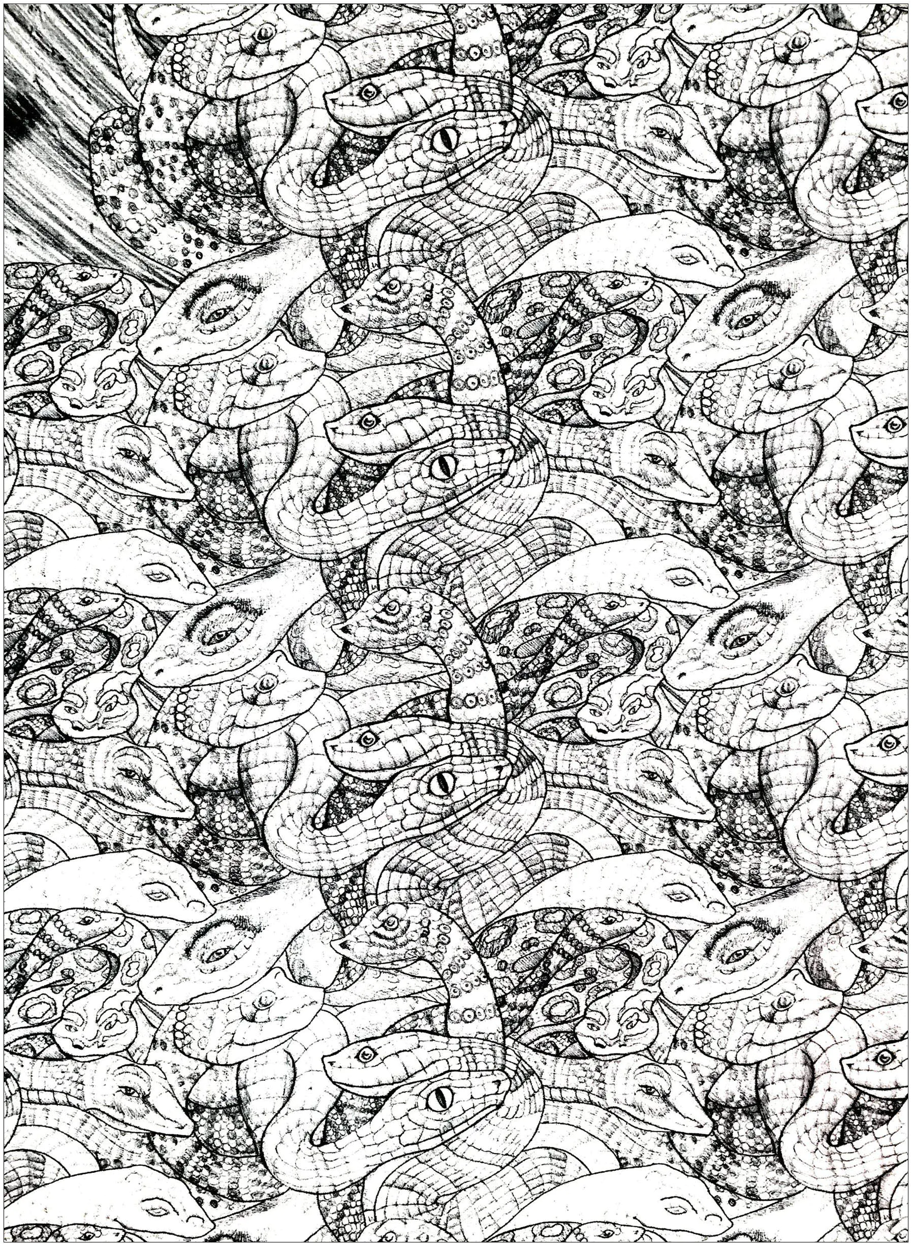 Serpents enchevêtrés (Coloriage à imprimer pour adultes)