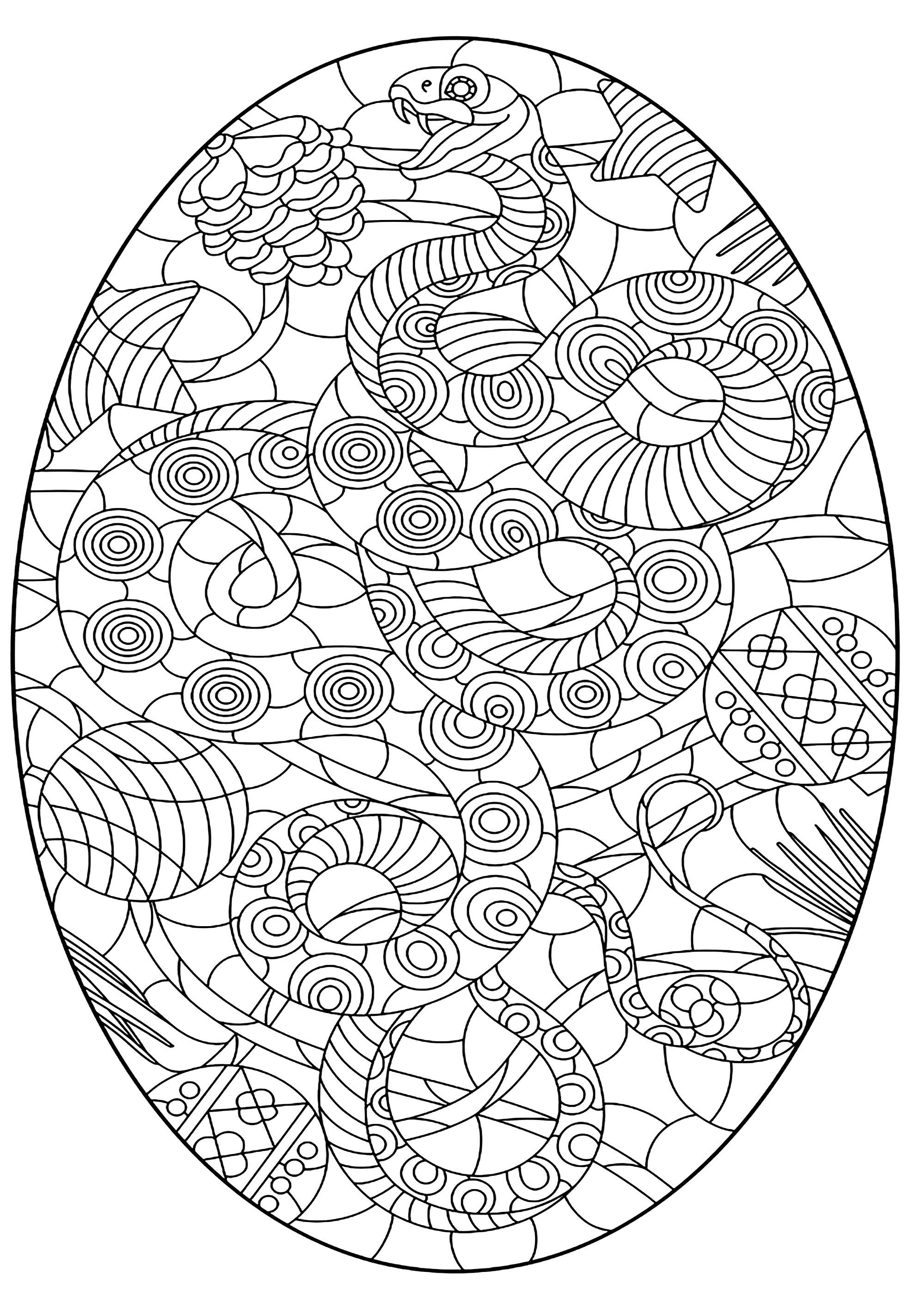 Serpent dans un ovale, avec nombreux motifs. Le serpent et les motifs sont harmonieux et se confondent, Artiste : zagory   Source : 123rf