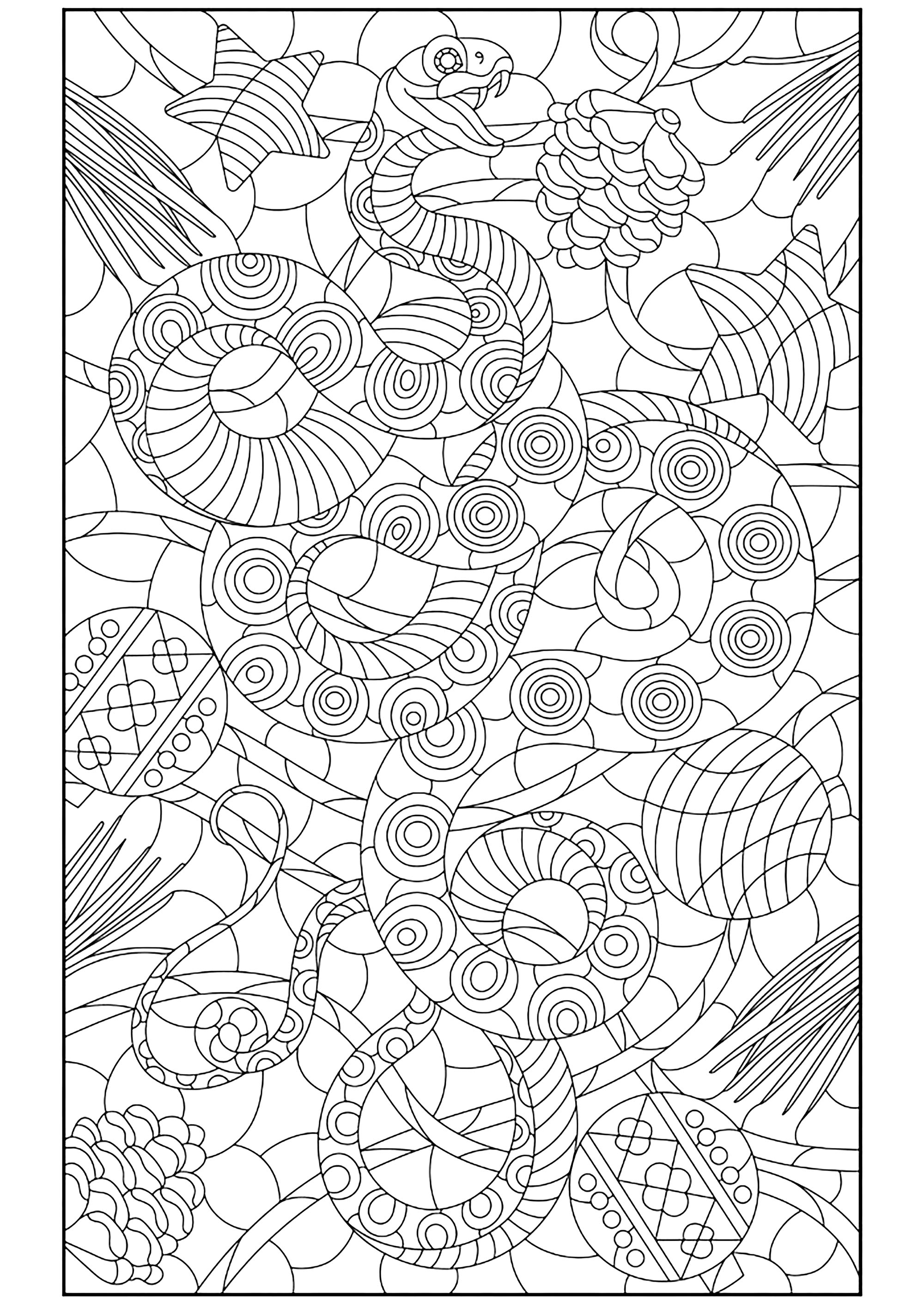 Serpent et motifs diversifiés. Un sublime coloriage dont le dessin a été réalisé avec une finesse extrême, Source : 123rf   Artiste : zagory