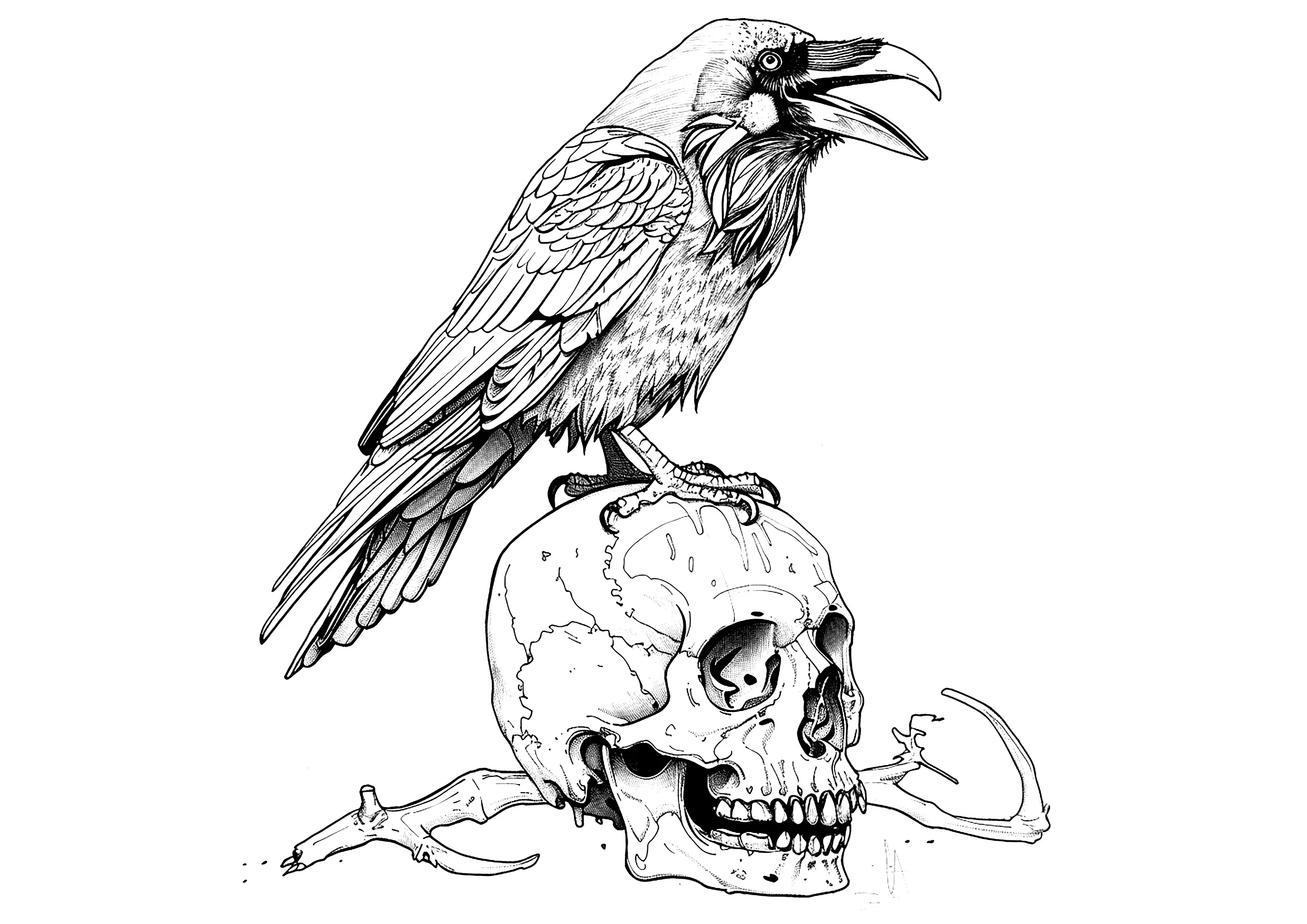 Corbeau mystérieux sur un crâne (Coloriage de Tatouages à imprimer pour adultes)