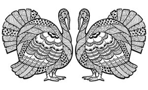 Coloriage de à imprimer pour adultes : Thanksgiving-zentangle-dinde-en-double-par-Elena-Medvedeva