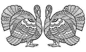 Coloriage thanksgiving zentangle dinde en double par Elena Medvedeva