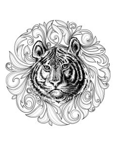 Coloriage adulte tigre cadre feuillu