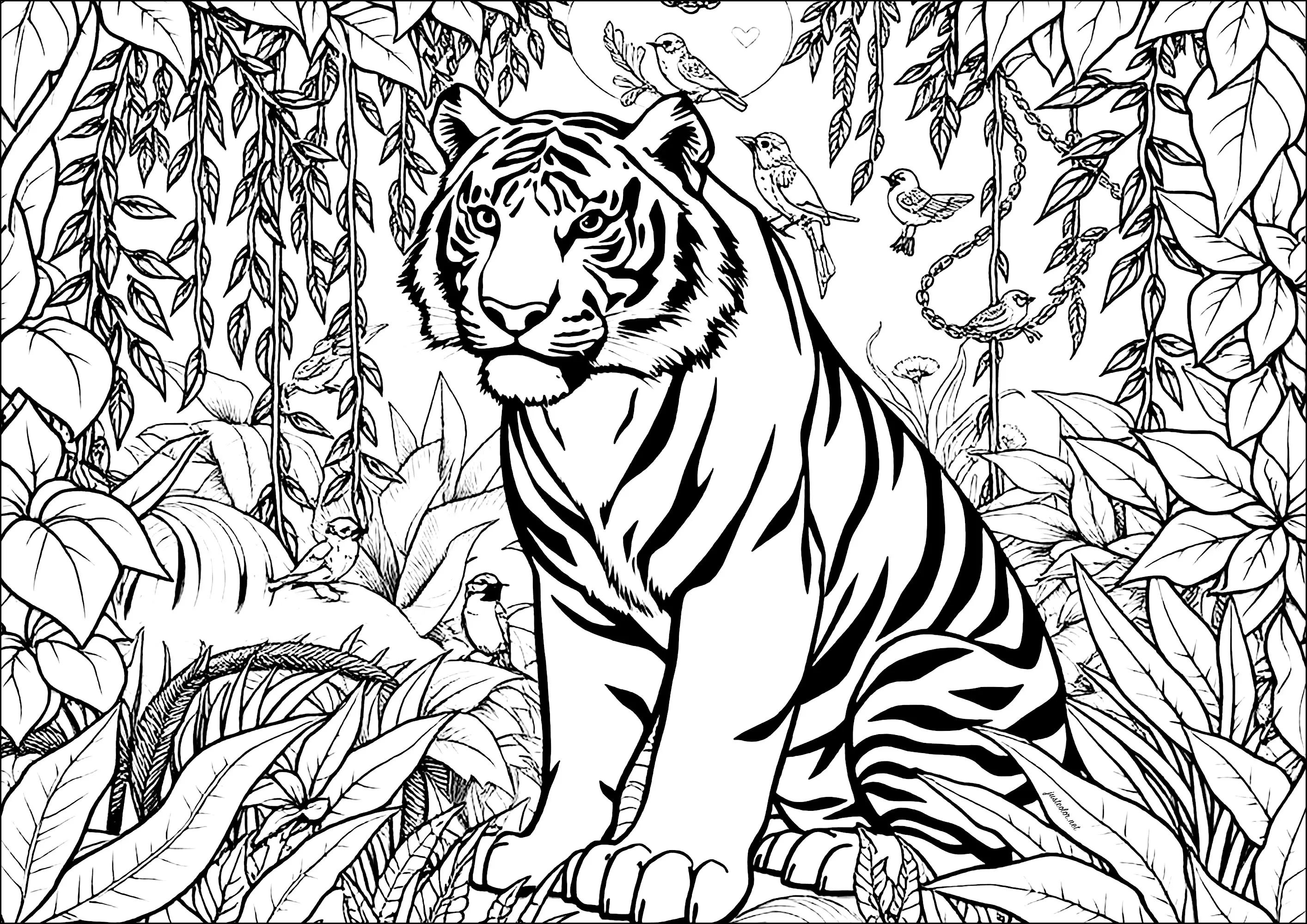 Magnifique tigre entouré d'une végétation luxuriante (Coloriage à imprimer pour adultes)